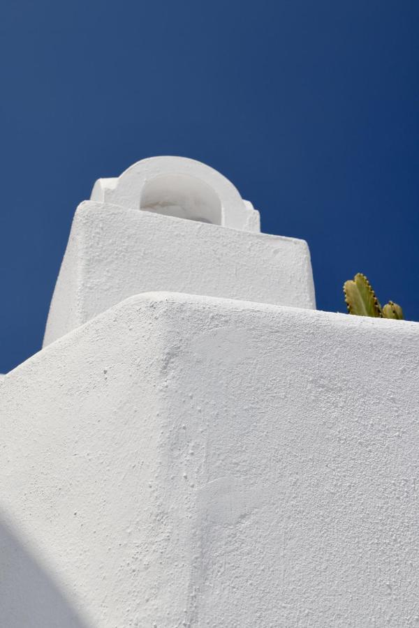 Aidos Villa Santorini Megalochori  Exterior foto